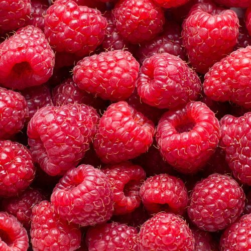 Strawberry Basil Breeze